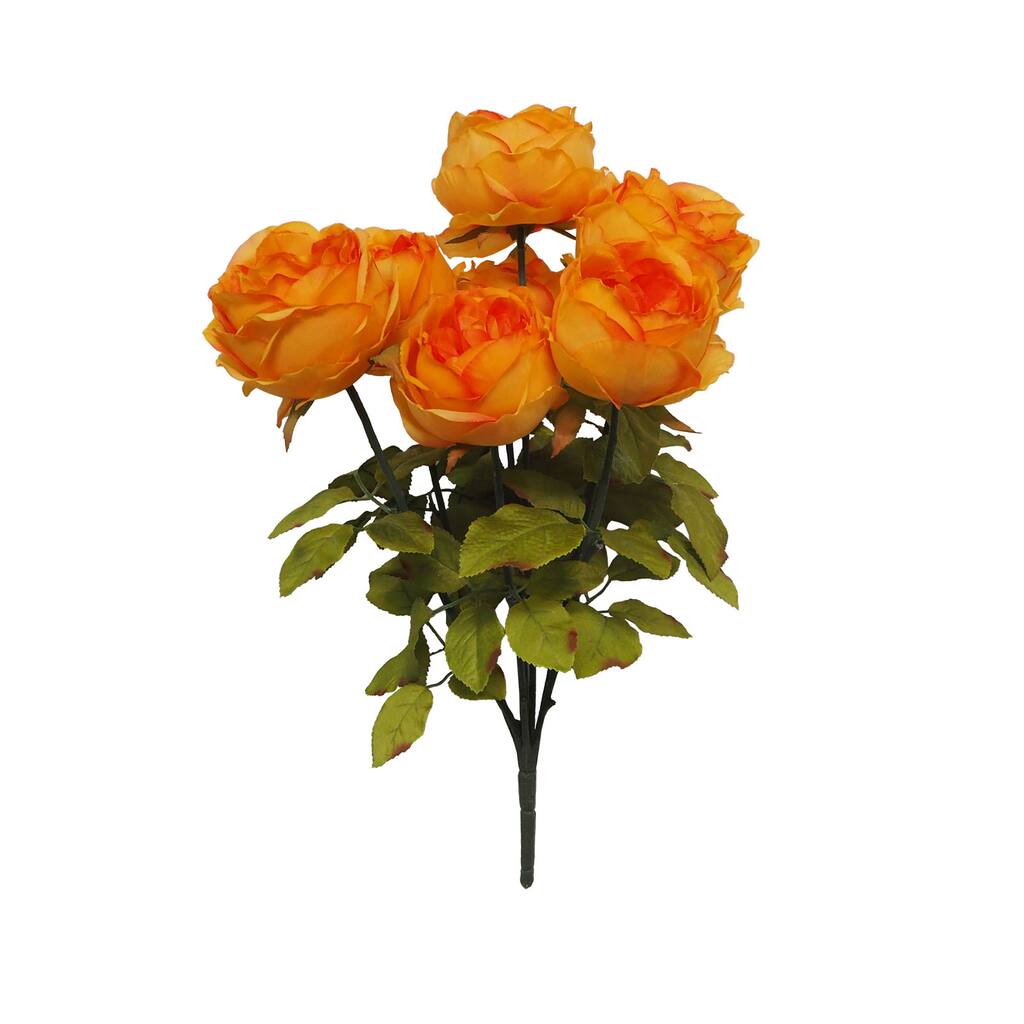 10589811_1.jpg img